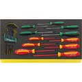 Stahlwille Tools DRALL+ set of screwdrivers i.TCS inlay No.TCS WT 4650-4665 -tray24-pcs. 96830127